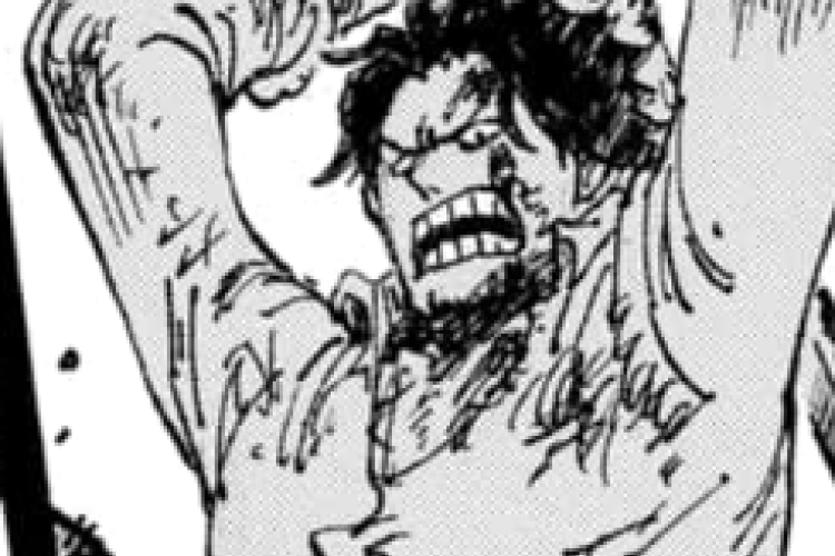 Bataille féroce ! Lire le Manga One Piece Chapitre 1166 VF FR Scan