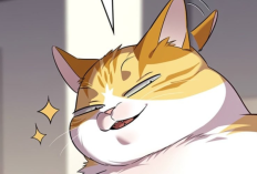 RAW Lecture En Ligne Manhwa Eleceed Chapitre 389 Scan VF FR, Rétablissement de la Puissance